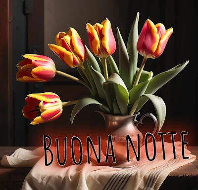 Immagini Della Buonanotte