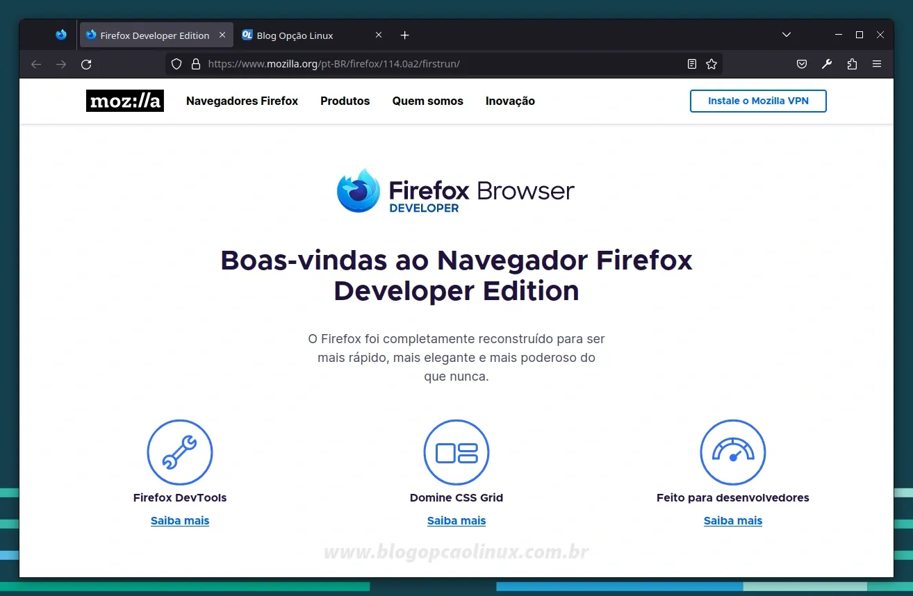 Mozilla Firefox Developer Edition executando no openSUSE Leap 15.5