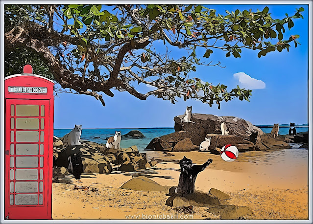 The B Team at The Beach ©BionicBasil® Caturday Art