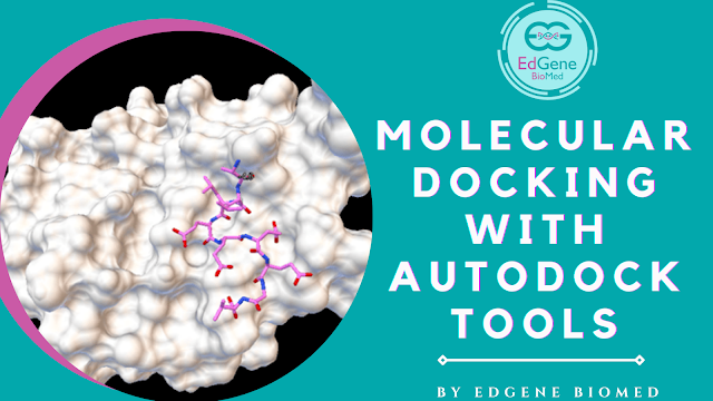  How to Perform Molecular Docking with Autodock Tools