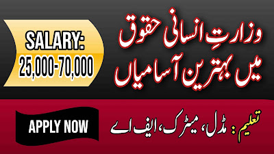 Ministry of Human Rights Jobs 2023 Online Apply/Today Jobs/Top News and Jobs/TNJ