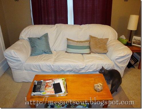 couch1