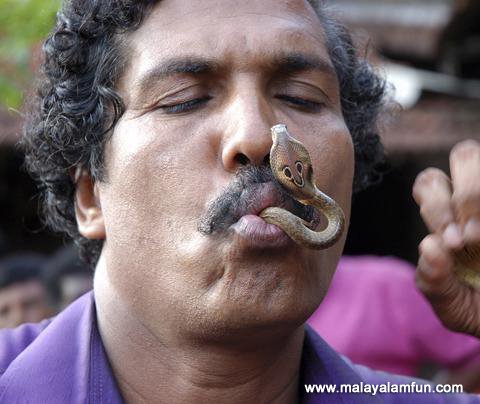 Snake Expert From India