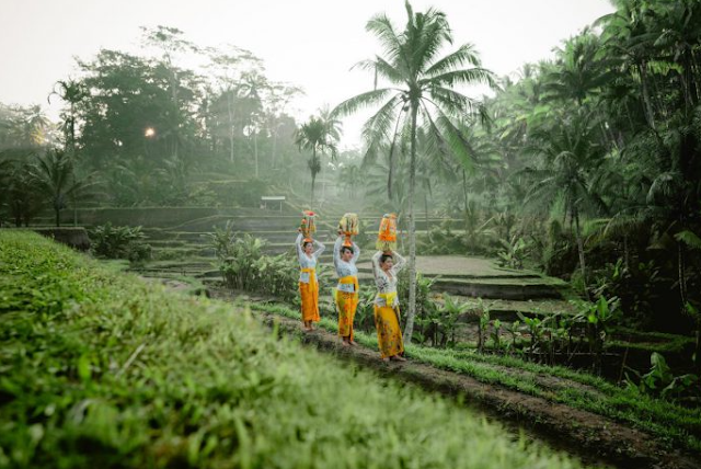 Luar Biasa, Bali Jadi Pulau Terpopuler di Dunia