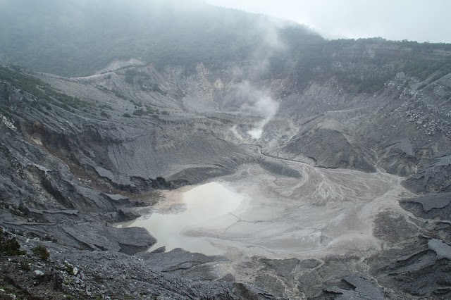 Cagar Alam Tangkuban Parahu