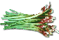 Rhubarb