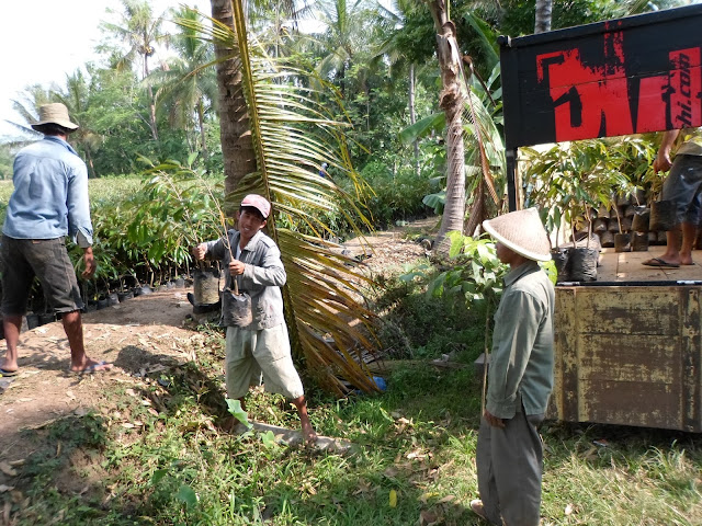 bibit durian montong,bibit durian montong super,bibit durian montong banyumas,bibit durian,montong di bogor,bibit durian montong bawor,bibit durian montong di medan,bibit durian montong di malang,bibit durian montong malang,bibit durian montong pendek,bibit durian montong jogja,bibit durian montong merah,bibit durian montong asli,ciri bibit durian montong asli,jual bibit durian montong asli,harga bibit durian montong aslijual bibit durian montong di aceh,agen bibit durian montong