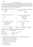 1. Sınıf Dikkat Çekici Okuma Anlama Testi