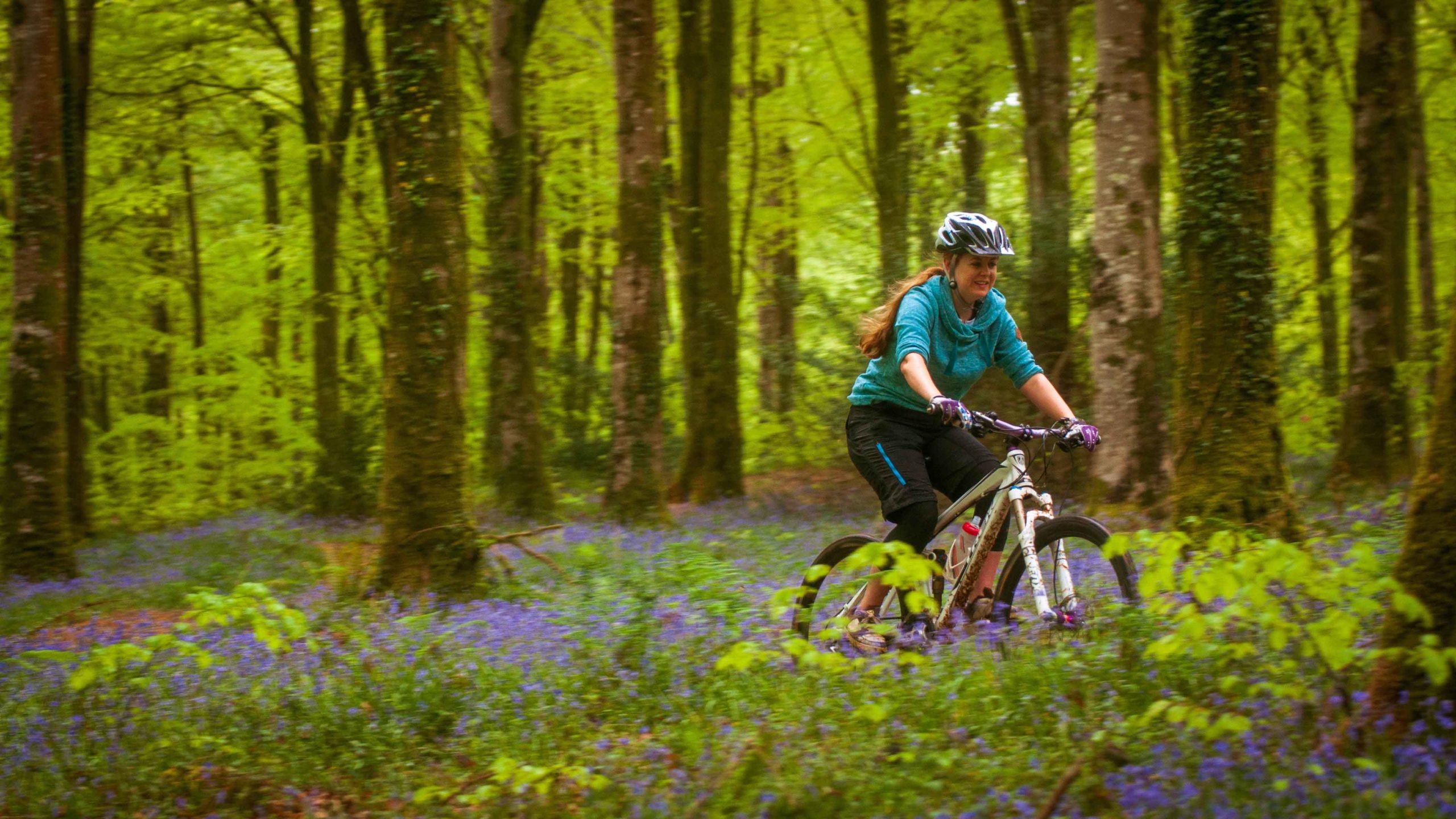 Women cycling on the Lanhydrock estate through bluebells