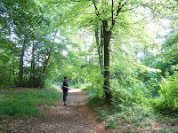 リスル＝アダンの森 Forêt de L'Isle-Adam