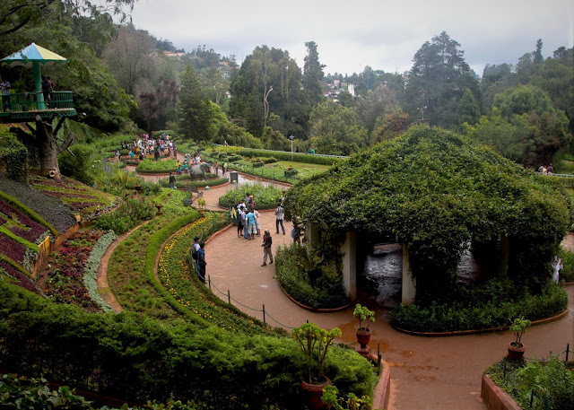 botanical garden ooty map  places near botanical garden ooty  ooty botanical garden flower show 2019  botanical garden in india  botanical garden timings  ooty to botanical garden distance  botanical garden opening time  karnataka botanical garden ooty Page navigation