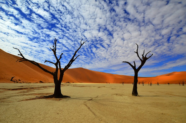 Namib Desert in Sossusvlei, Namibia