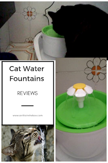 cats fountains