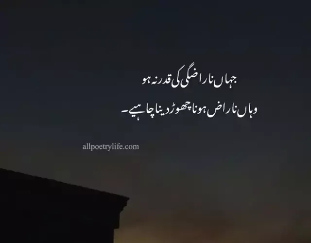 best-deep-poetry-in-urdu-sad-deep-shayari-in-urdu-text