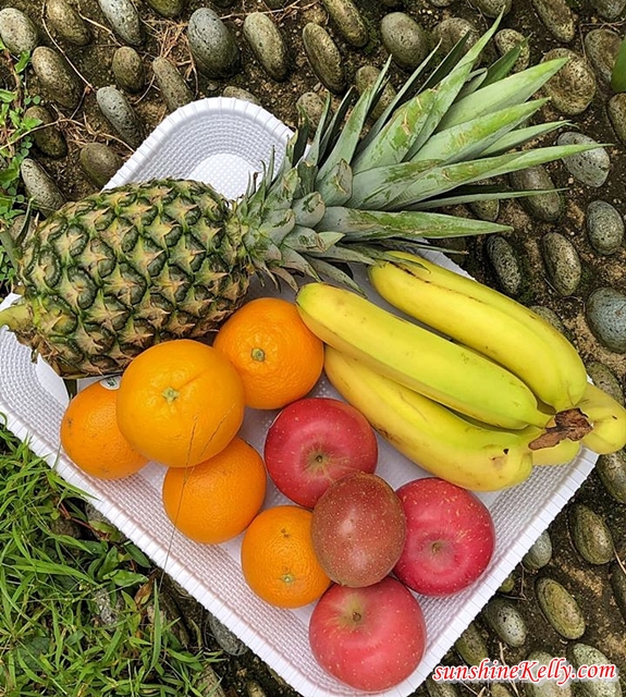 e-Petani Fresh Vegetables & Fruits Delivery, e-petani, vegetables fruits delivery, online vegetables fruits, support local farmers, food