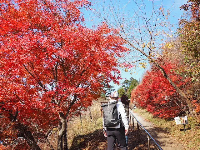 秩父　三峯神社　紅葉