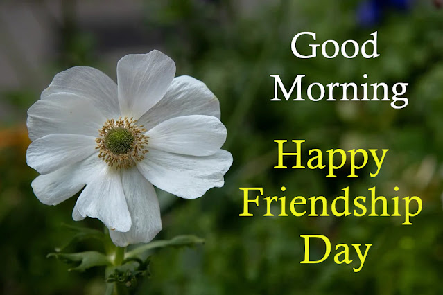 Good Morning Happy Friendship Day