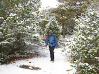 snijeg Vidova gora otok Brač hiking slike