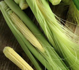 Ragam Khasiat Jagung Muda (Baby Corn)