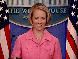 Dana M. Perino, Vidcap from White House Briefing