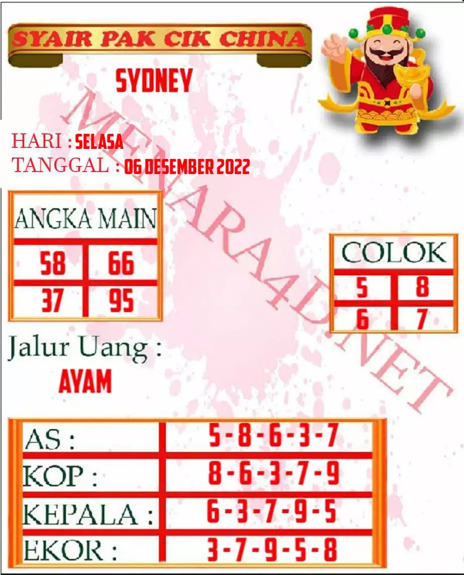  SYAIR SYDNEY