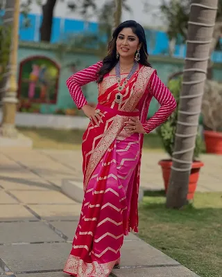 Manjula Paritala stuns in a bold partywear saree with stone embellishments