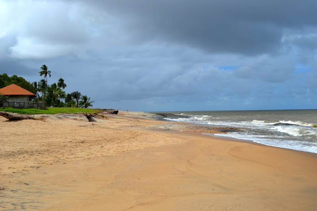 Guyane, Cacao, Montsinnery, chute de Fourgassier, Roura, marathon de l'espace, Kourou, plage des roche, oiseaux, iguane, plage, pluie tropicale