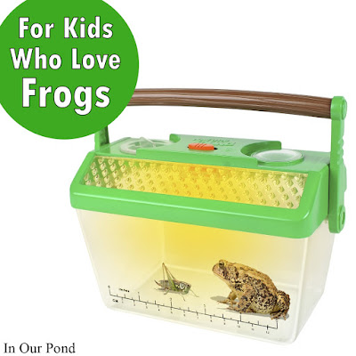 Gifts for Kids who Love Frogs- a Gift Guide from In Our Pond