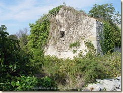 Haus