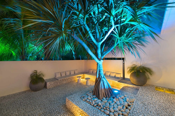Tree and sitting area at night in Modern mansion in Miami