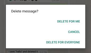 WhatsApp - Delete For Everyone _Google Bird