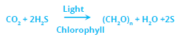 FSc Biology Part 1 XI 11th Chapter 6 Kingdom Prokaryotae (Monera) Notes Long Questions fscnotes0