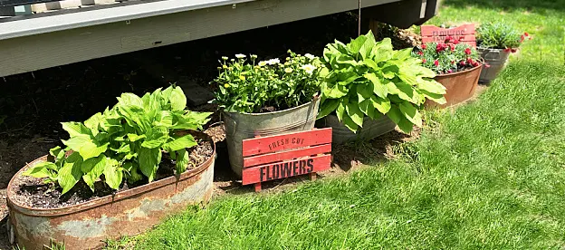 metal tub garden