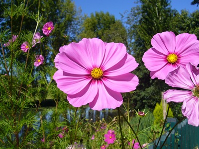 P1010383
