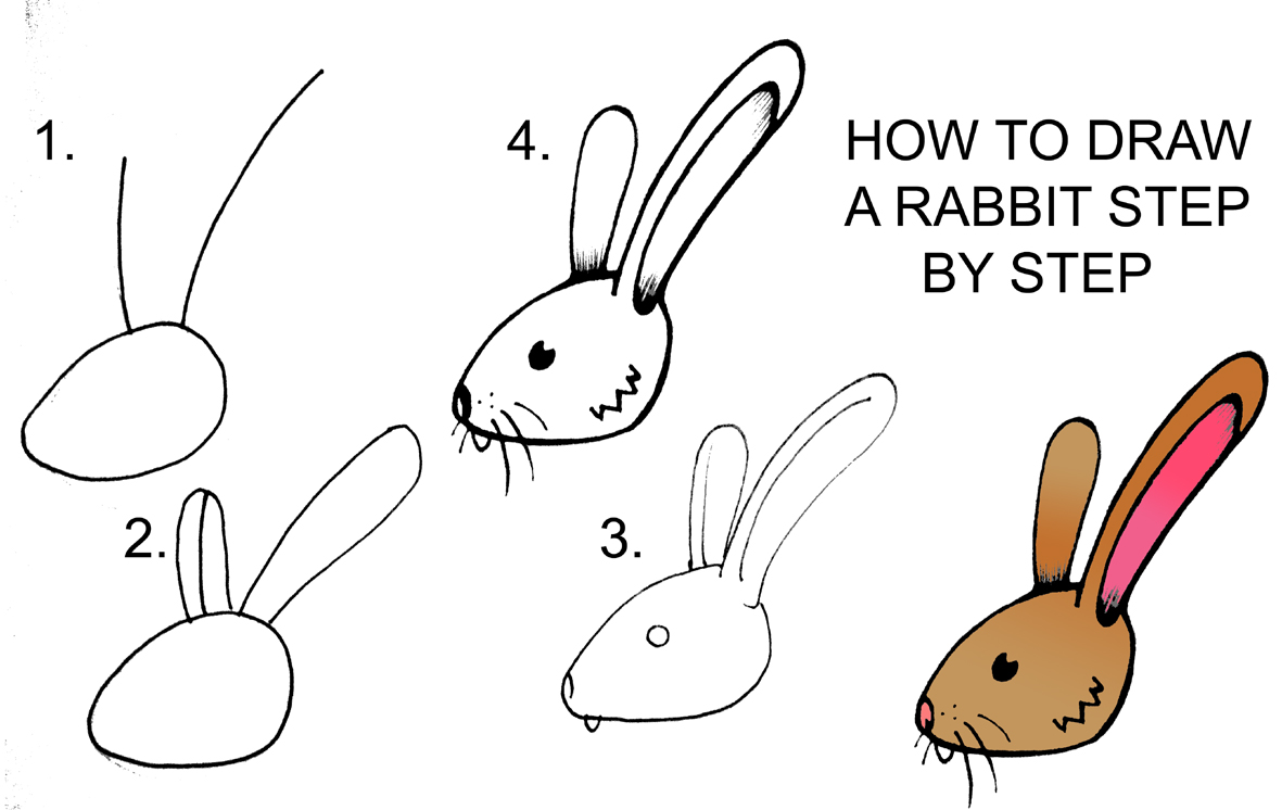 DARYL HOBSON ARTWORK: How To Draw A Rabbit Step By Step