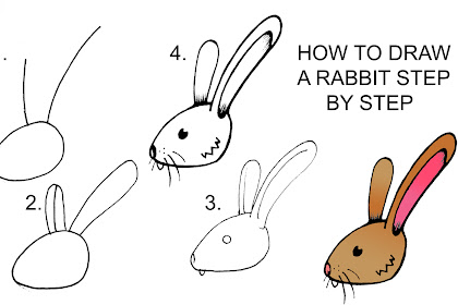 step by step how to draw a bunny How to draw a bunny by shantel barton
