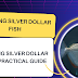 Breeding Silver Dollar Fish: A Practical Guide