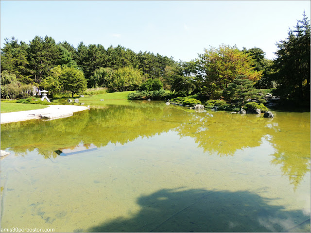 Jardín Japonés del Jardín Botánico de Montreal: Lago 