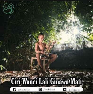 Ciri Wanci Lali Ginawa Mati