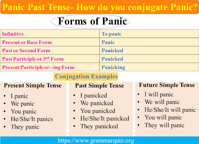 Panic Past Tense- How do you conjugate Panic?