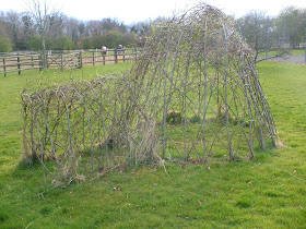 Creating living willow sculptures in the garden or school-making an igloo