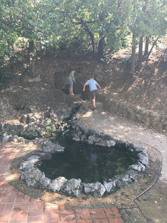 Spring, Hot Spring, Checking Out A Hot Spring