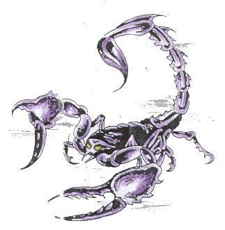 cool Scorpion tattoo pictures