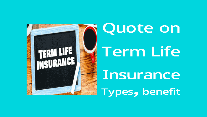 quote on term life insurance, types, benefits, etc.