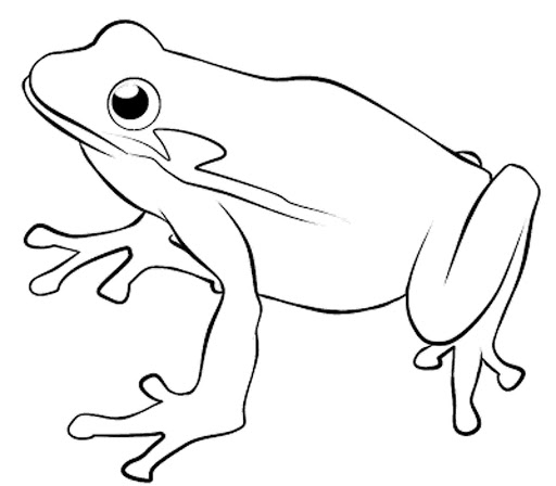 Best frog coloring pages | Free printable coloring pages