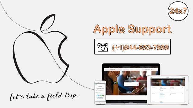 online apple support phone number