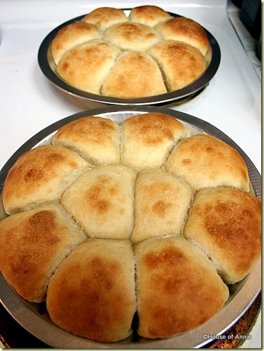 Buttery Dinner Rolls