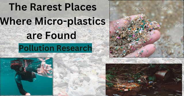 The Rarest Places Where Micro-plastics are Found: Pollution Research