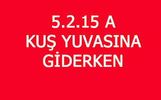 5.2.15 A KUŞ YUVASINA GİDERKEN