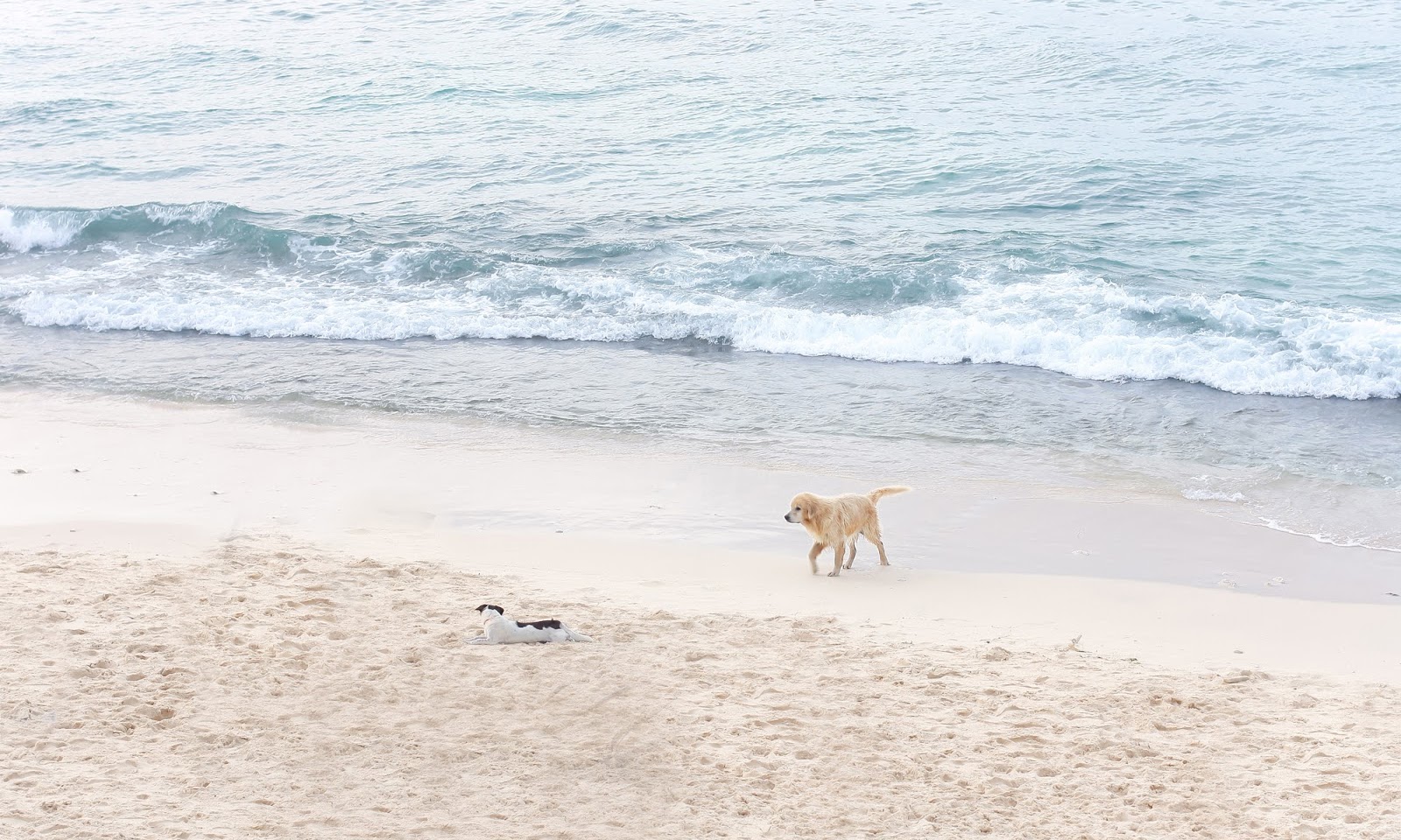 bingin beach bali